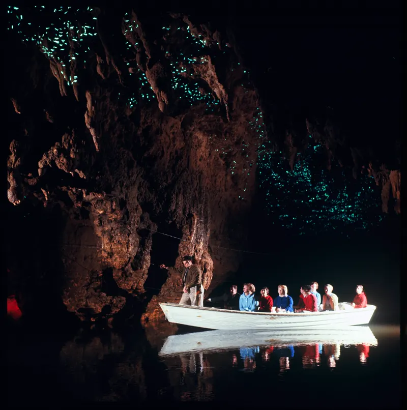 The Glowworm Grotto in the Waitomo Glowworm Cave, New Zealand